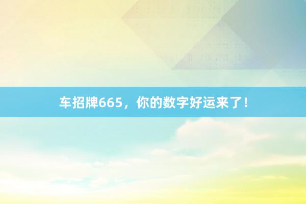 车招牌665，你的数字好运来了！
