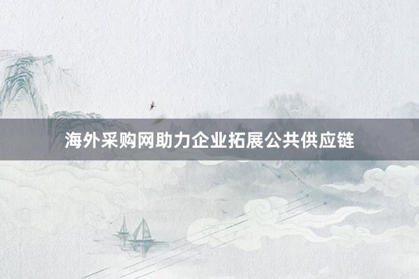 海外采购网助力企业拓展公共供应链